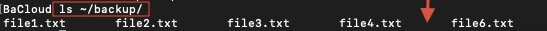 07.webp