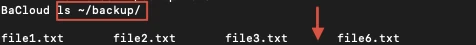 08.webp
