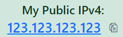 My Public IPv4